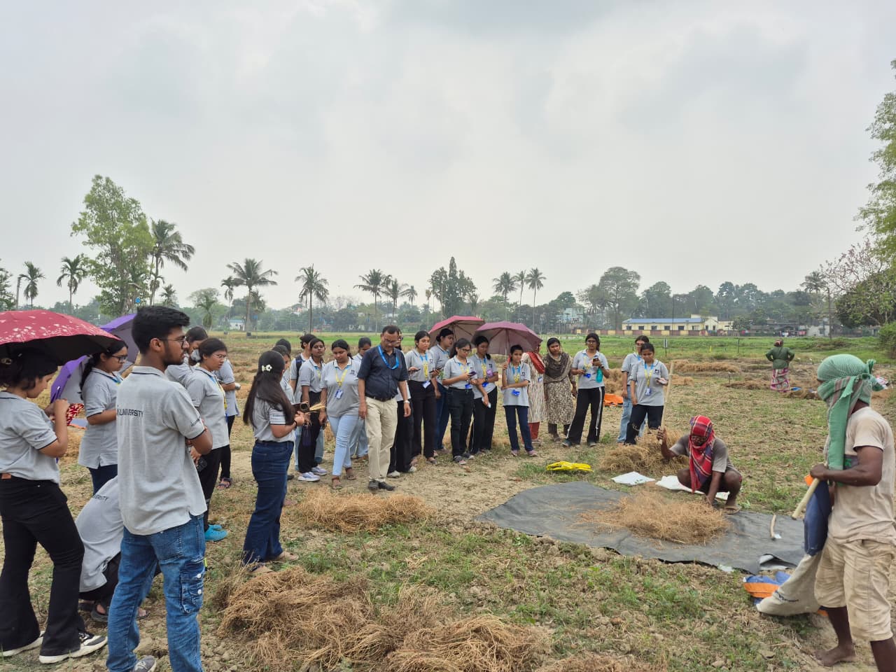 Agriculture Facility